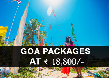 goa tour  packages